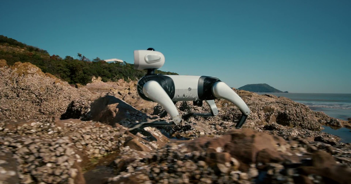 Vbot SuperDog robot cuadrúpedo